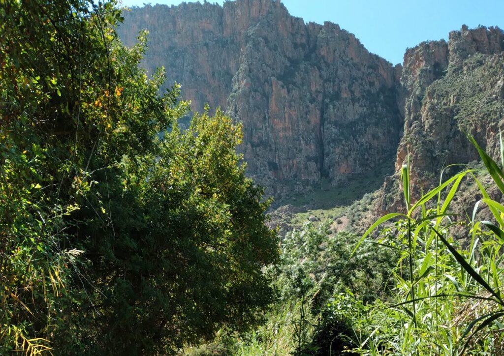 Atlas green gorge valley, Morocco