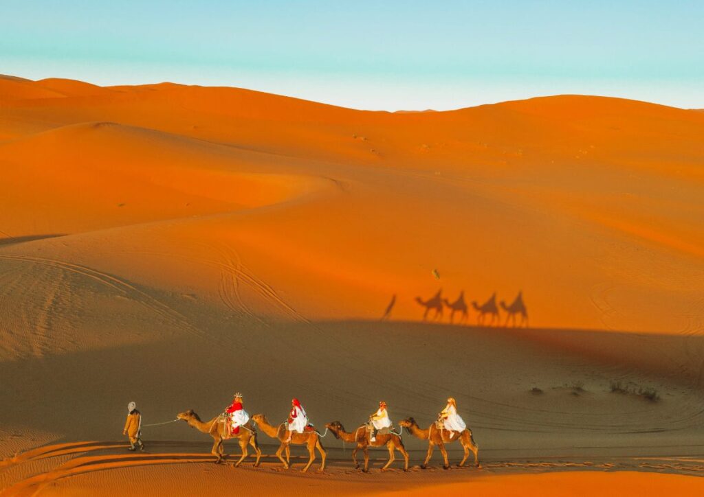 Camel caravan Erg Chebbi dunes, Morocco