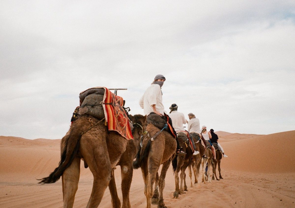 Camel Caravan Sahara Desert — Morocco Epic Journey guided Morocco tours across the Sahara desert, kasbahs and imperial cities.