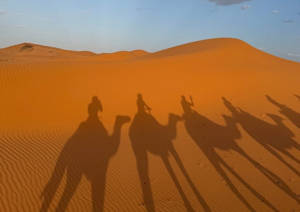 Camel caravan shadow dune Merzouga, Morocco