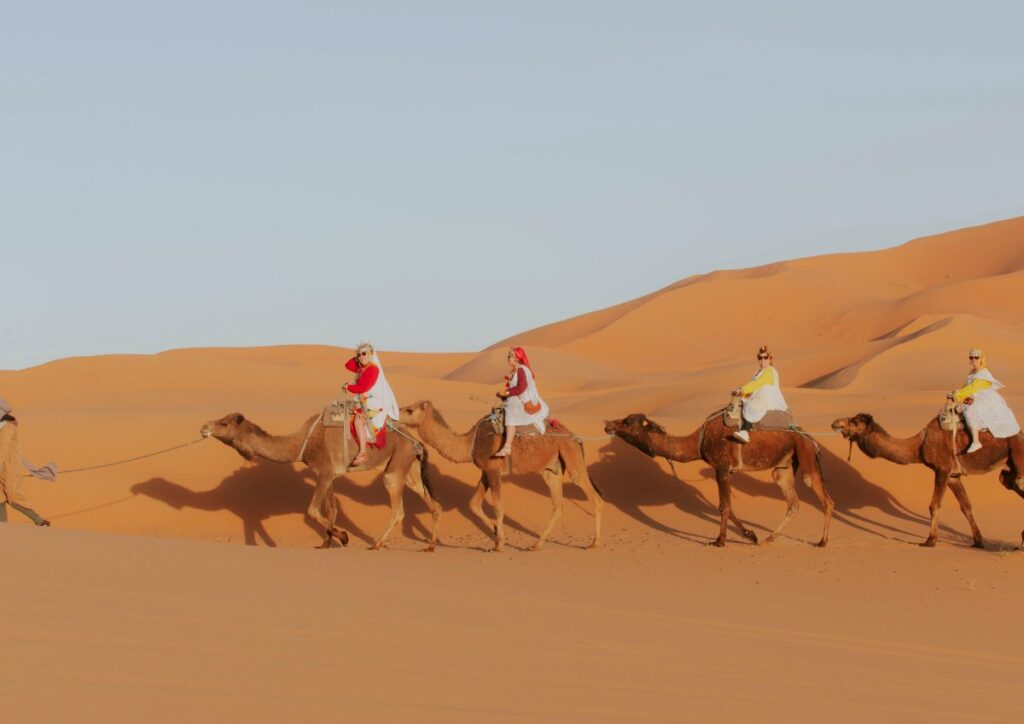 Camel trek riders dunes morning, Morocco