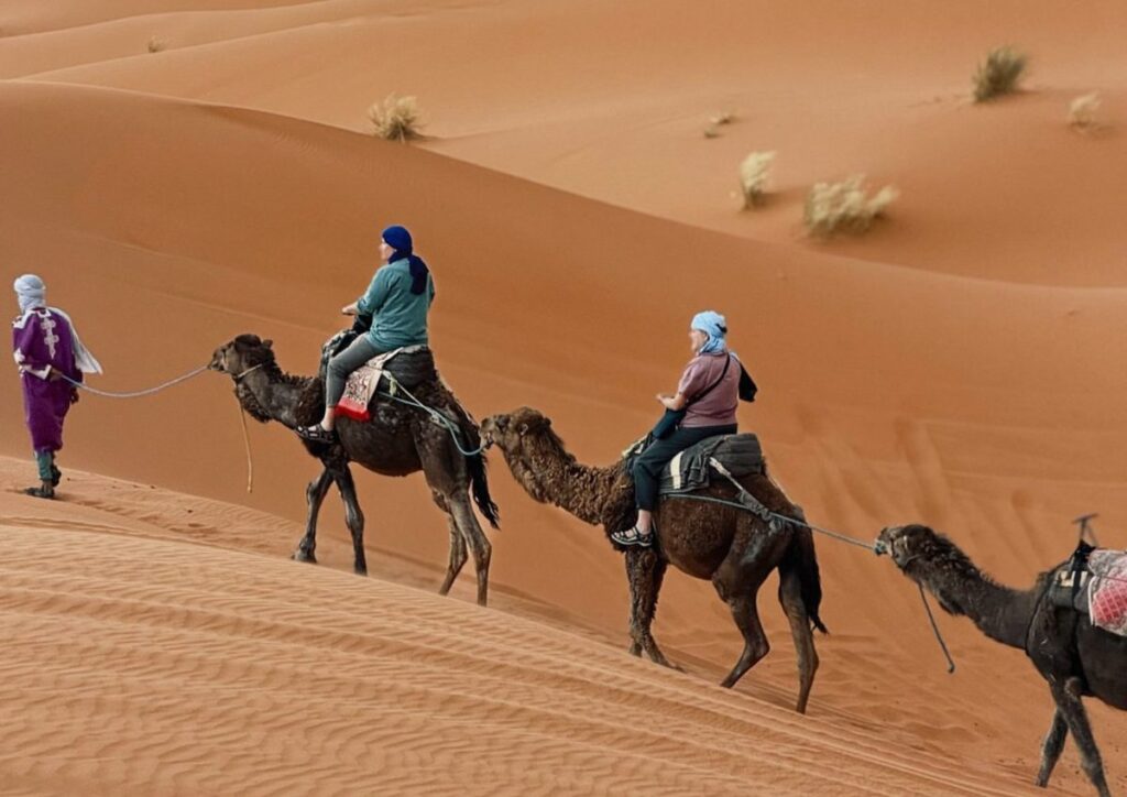 Camel trek Sahara family caravan, Morocco