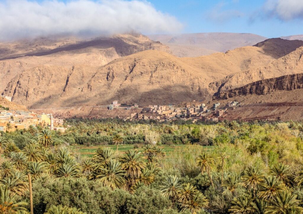 Dades valley palm oasis mountains, Morocco