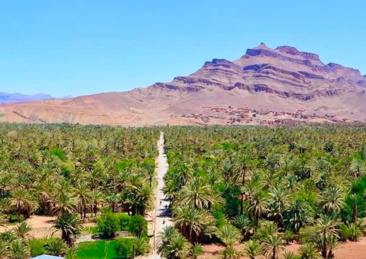 Draa Valley Palm Oasis Road — Morocco Epic Journey guided Morocco tours across the Sahara desert, kasbahs and imperial cities.