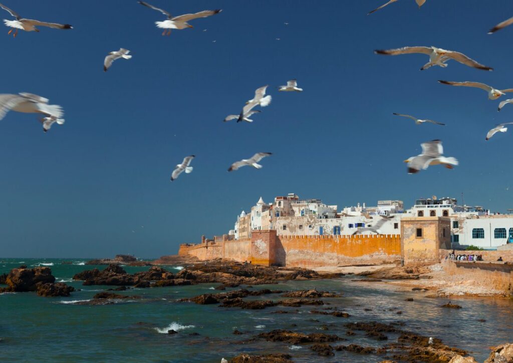 Essaouira ramparts ocean seagulls, Morocco
