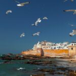 Day Trip from Marrakech to Essaouira