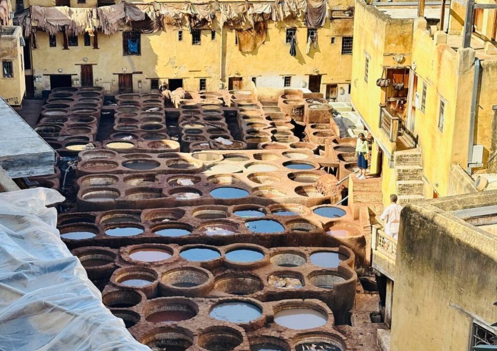 Fes Chouara tannery dye pits, Morocco