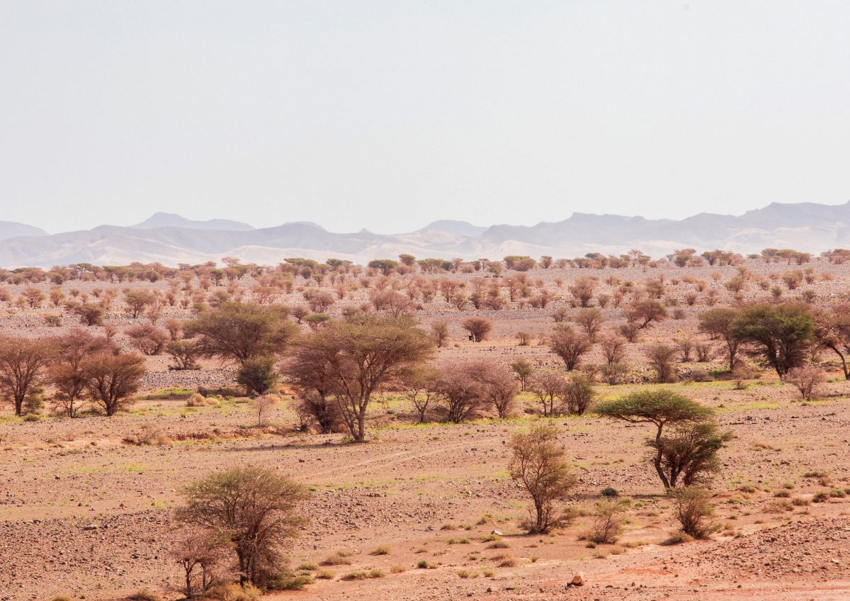 Moroccan Desert Steppe Landscape — Morocco Epic Journey guided Morocco tours across the Sahara desert, kasbahs and imperial cities.