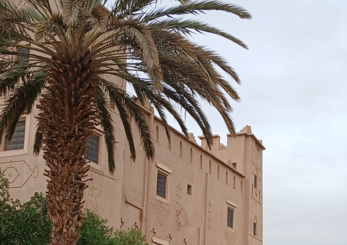 Ouarzazate Kasbah Palm Tower — Morocco Epic Journey guided Morocco tours across the Sahara desert, kasbahs and imperial cities.