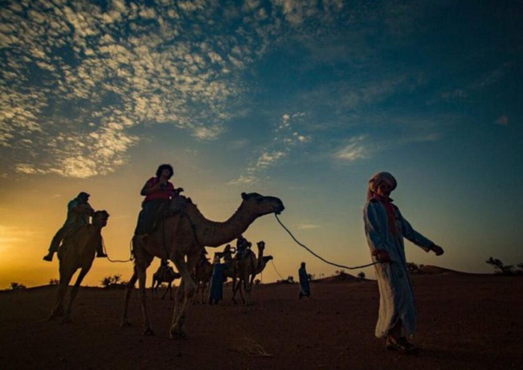 Sahara camel silhouette sunset guide, Morocco