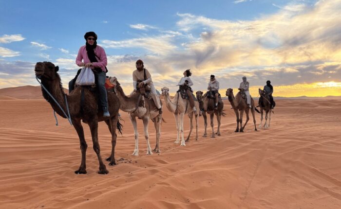 8 Day Desert Morocco Tour from Casablanca